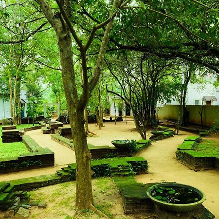 Twin Blocks Nature Resort 아누라다푸라 외부 사진