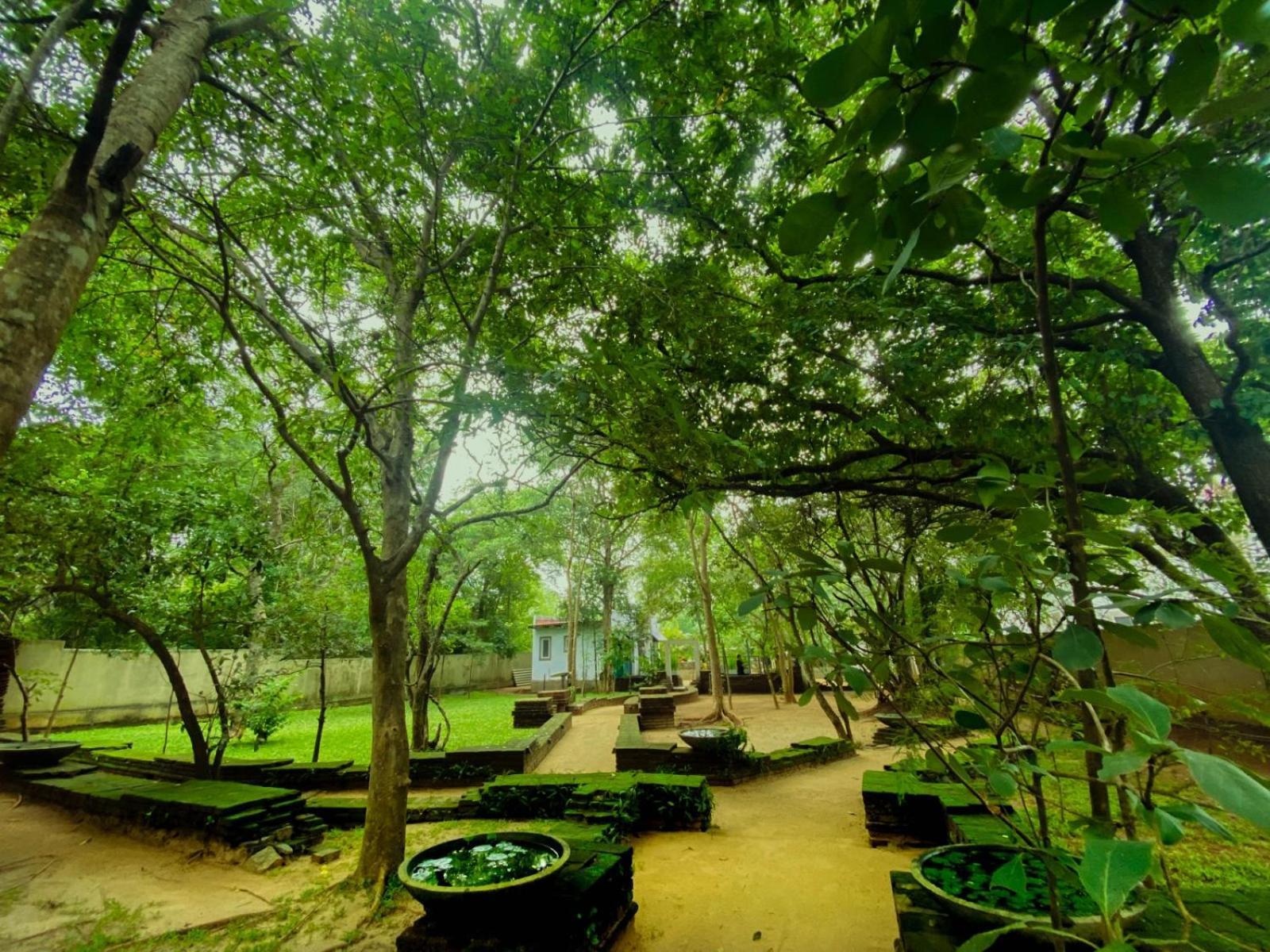 Twin Blocks Nature Resort 아누라다푸라 외부 사진