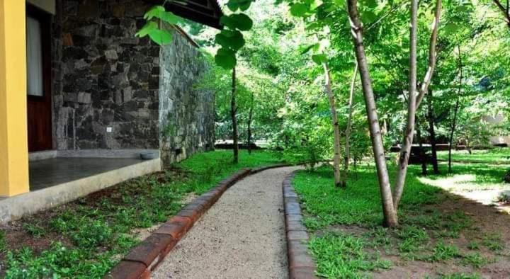 Twin Blocks Nature Resort 아누라다푸라 외부 사진