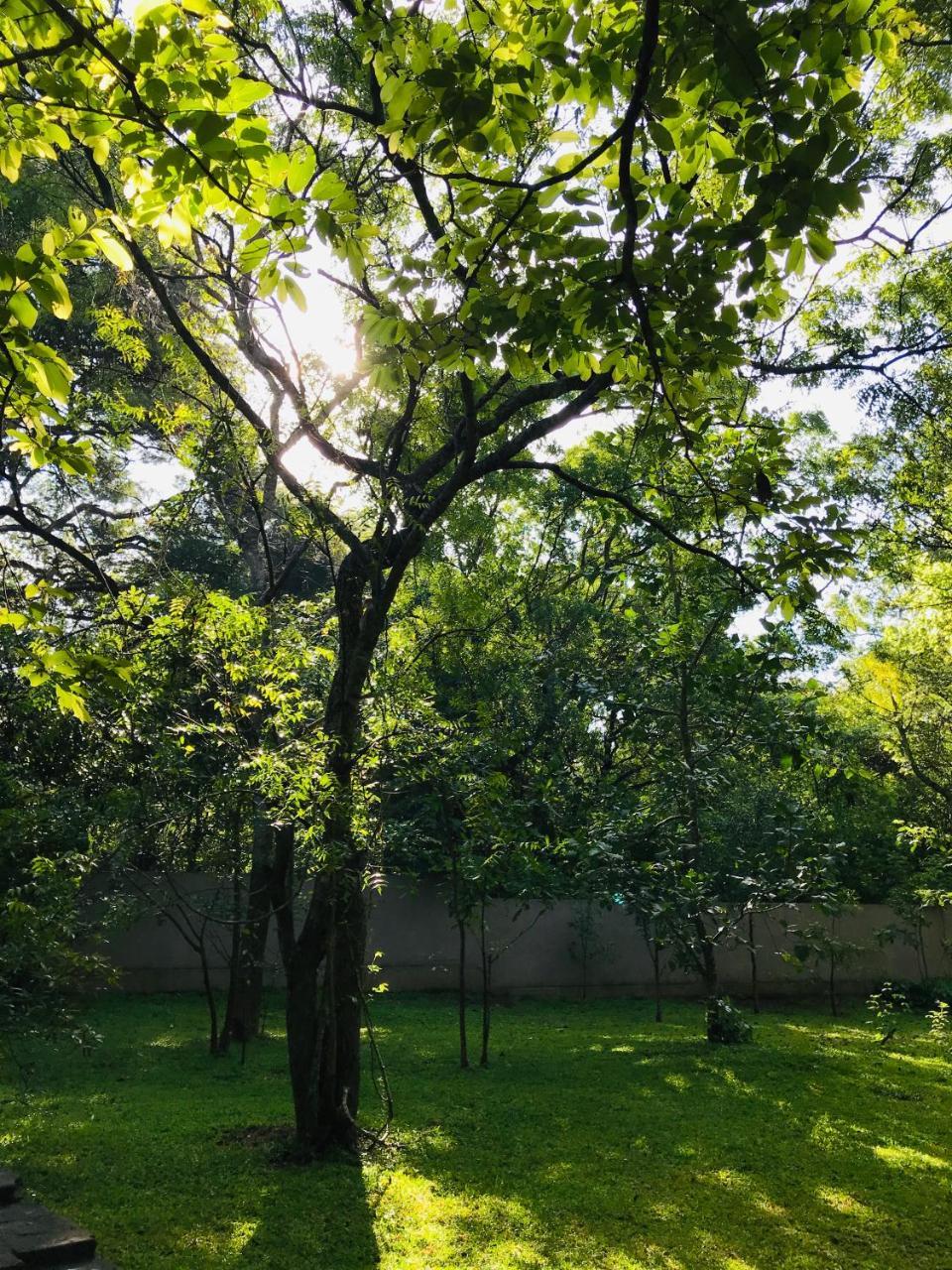 Twin Blocks Nature Resort 아누라다푸라 외부 사진
